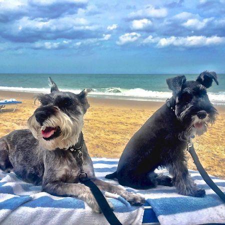 South Beach Inn Beach Motel Саут Падре Алънд Екстериор снимка